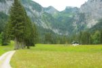 2014-07-05_Laengental-N-Hochweg (341). JPG